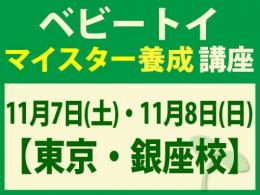 【東京・銀座校】2026年11月7日(土)・11月8日(日)ベビートイ・インストラクター®マイスター養成講座|一般社団法人 日本知育玩具協会