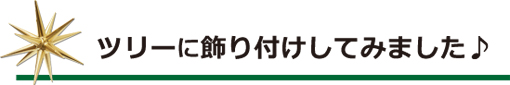 ツリーに飾り付けしてみました♪