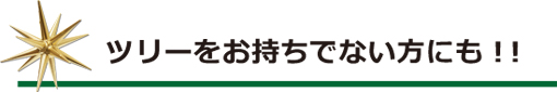 ツリーをお持ちでない方にも!!