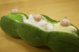 そら豆さんの赤ちゃん　(そら豆のさやと赤ちゃん3つ)のキット|スウェーデンひつじの詩舎(日本)