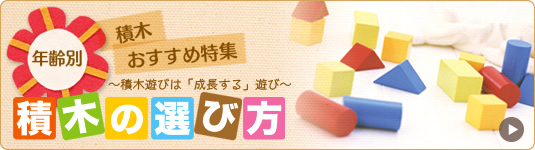 積木の選び方 年齢別